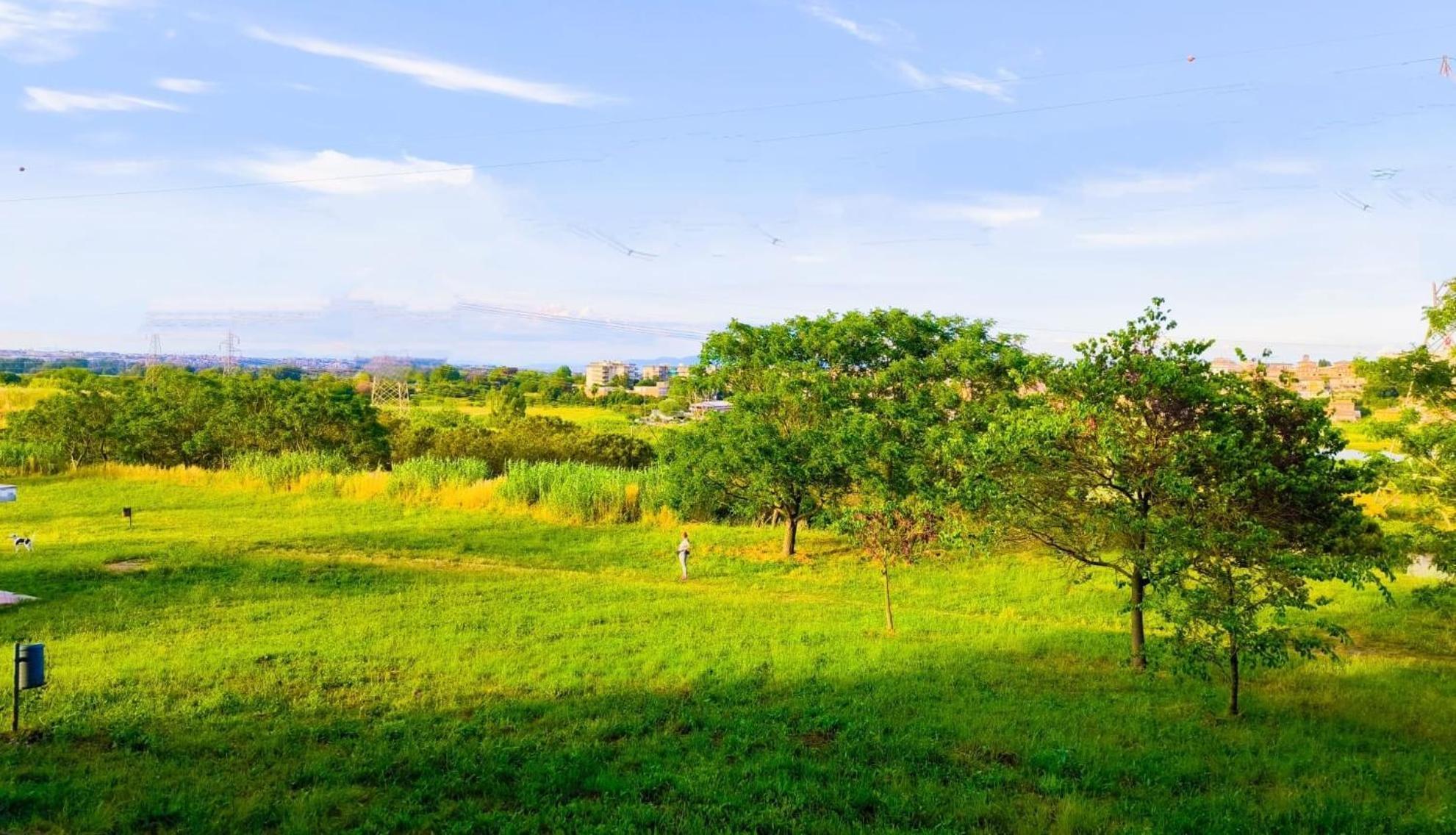 Rome Sweet Home Vitinia Екстериор снимка